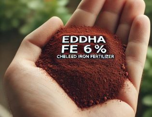 Water Soluble Iron Chelate Fertilizer EDDHA Fe 6%
