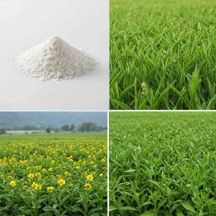 Fertilizers Products