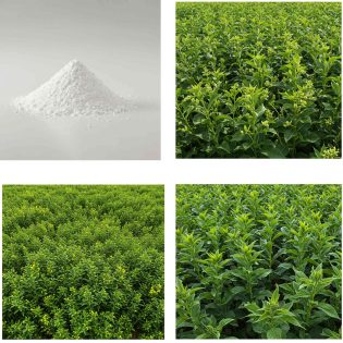 Fertilizers Products