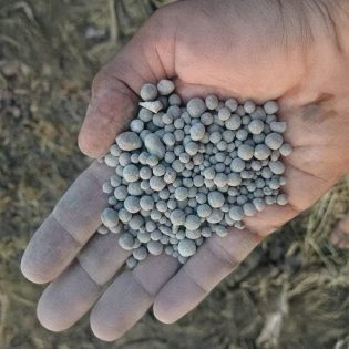 Granular Single Super Phosphate (G.S.S.P)